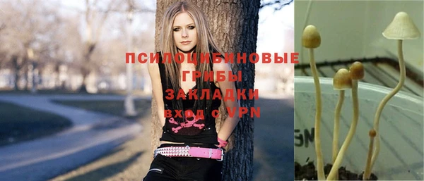 дмт Новозыбков
