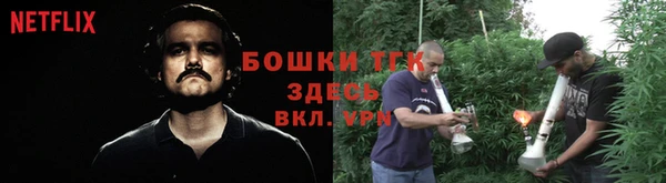 дмт Новозыбков
