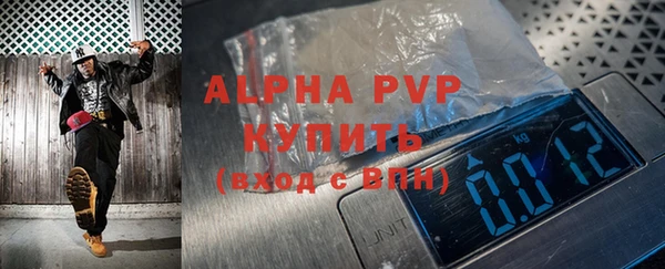 прущие крисы Новодвинск