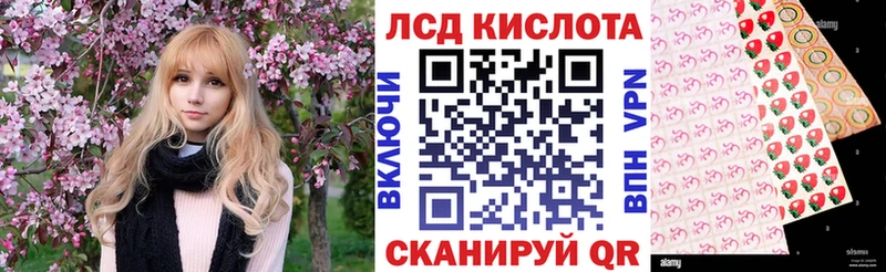 цена   Питкяранта  Марки N-bome 1500мкг 