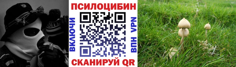 где продают наркотики  Питкяранта  Галлюциногенные грибы ЛСД 